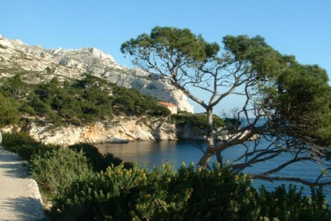 Sud Passion - Fada Vieux Port - Calme - Linge De Qualite - Lit King Size - Fibre Διαμέρισμα Μασσαλία Εξωτερικό φωτογραφία